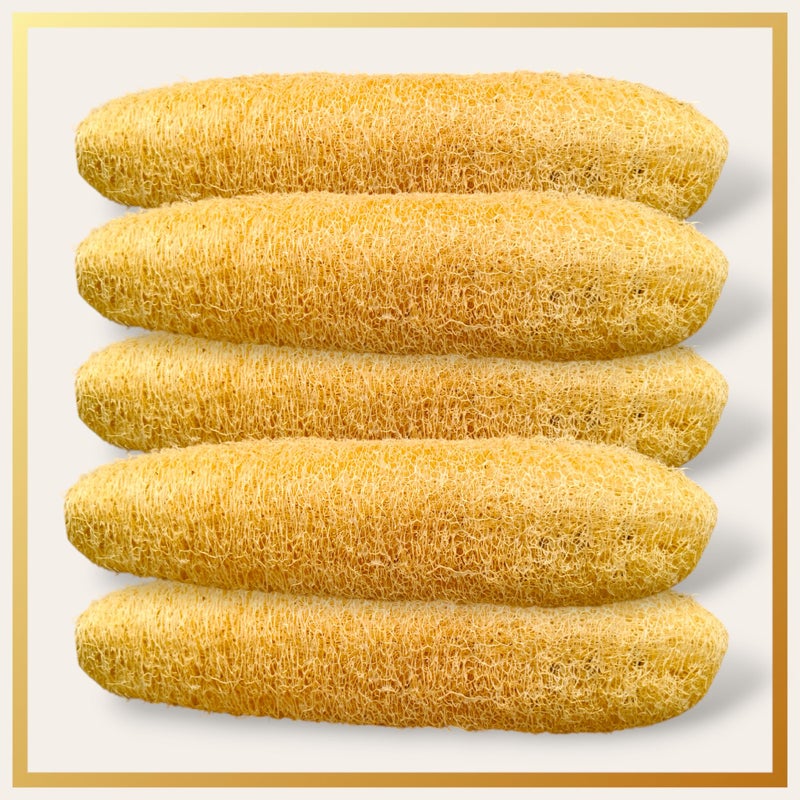 Natural Dried Loofah Sponge for Body Exfoliation and Scrubbing, Pack of 5 - Image 1