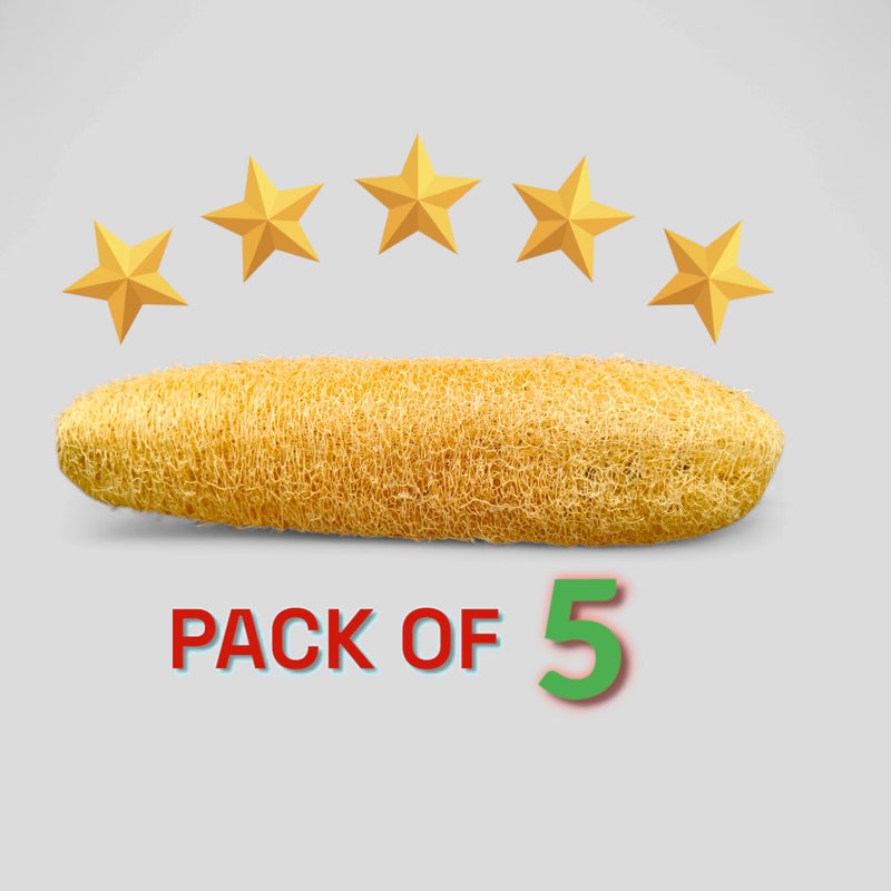 Natural Dried Loofah Sponge for Body Exfoliation and Scrubbing, Pack of 5 - Image 2