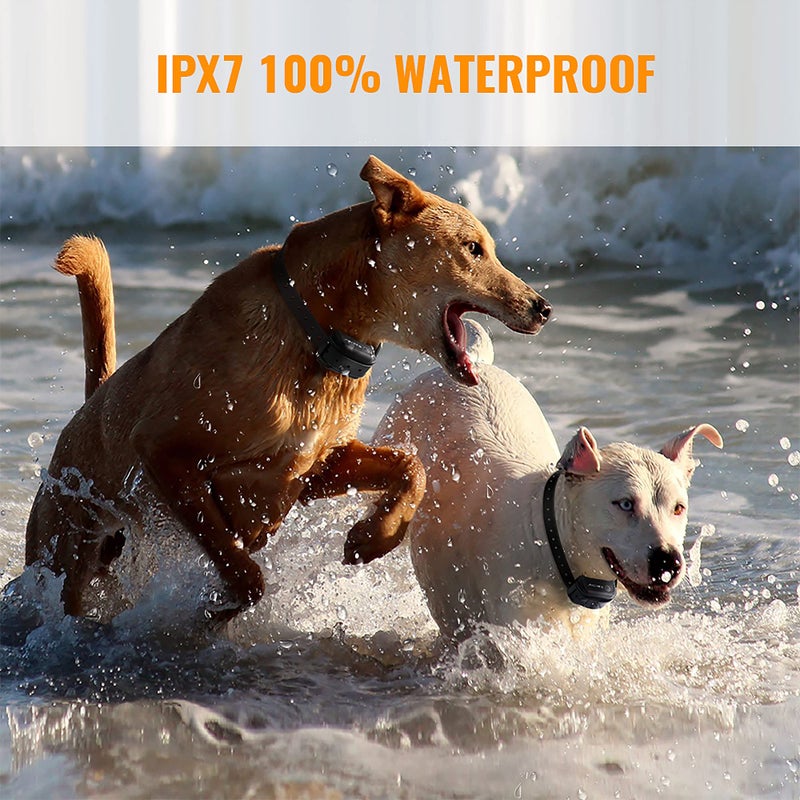 Petrainer Dog Training Collar with Remote - Advanced Rechargeable Training Collar for Dogs,Easy to Carry & Fits in Your Pocket,100% Waterproof Trainer - Image 3