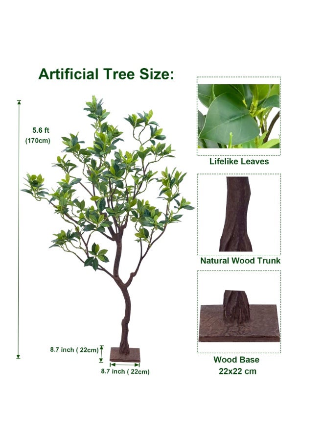 MirageBotanics 170cm Artificial Perfume Flower Trees, 5.6ft Tall Fake Tree with Natural Curved Trunk, Lush Faux Tree for Indoor Outdoor Home Decor, Living Room, Office & Patio Decor - Image 3