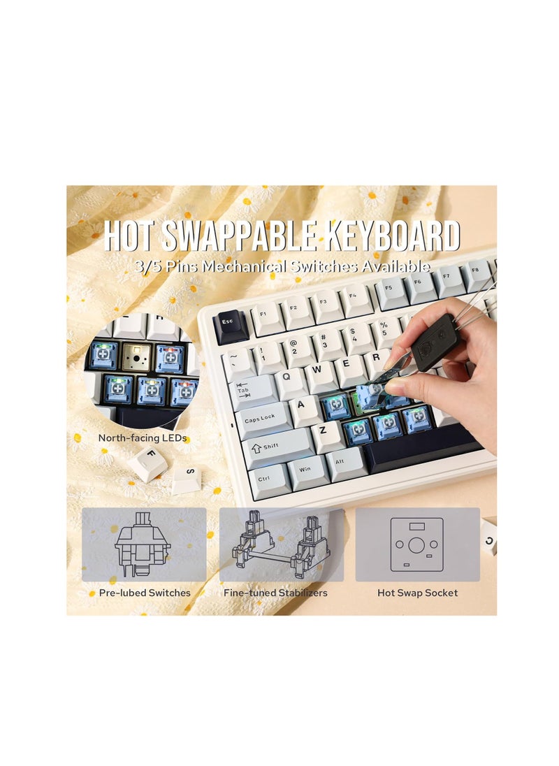 AULA F99 Wireless Mechanical Keyboard, Hot Swappable Gasket Custom Gaming Keyboard with Five-Layer Padding, Bluetooth/2.4GHz/USB-C, 8000mAh Battery (White Blue, Reaper Switch)