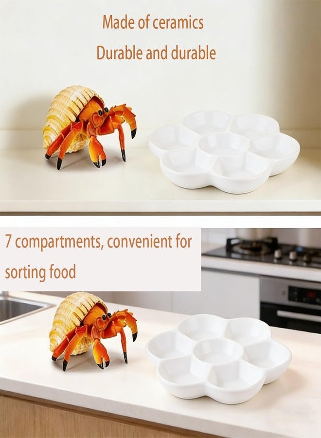 CJFNDFA Terrarium Bowls, Hermit Crab Water Dishes & Water Bowl Ceramic Hermit Crab Accessories, Anti-Turning Bowl for Feeding & Hydration, Terrarium Pet Supplies - Image 4
