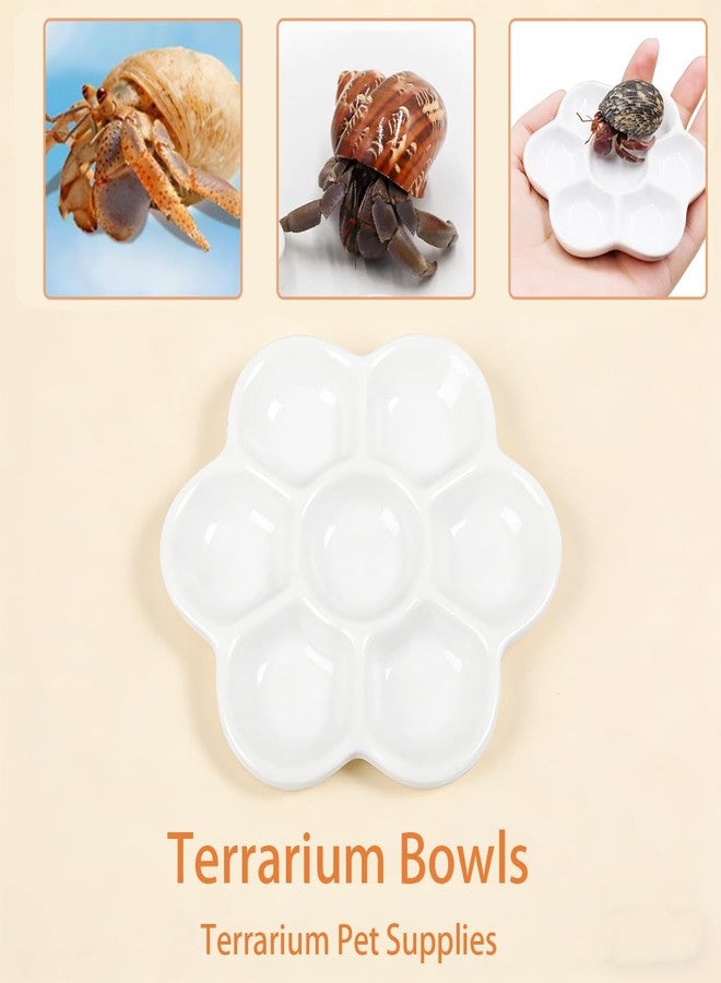 CJFNDFA Terrarium Bowls, Hermit Crab Water Dishes & Water Bowl Ceramic Hermit Crab Accessories, Anti-Turning Bowl for Feeding & Hydration, Terrarium Pet Supplies - Image 3