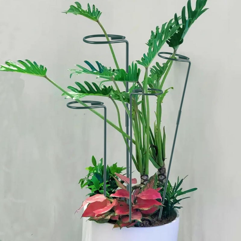 RAIKEDR دعم نباتي - 6 قطع ارتفاع قابل للتعديل 12" أو 24"، دعامة نباتية، حلقات دعم نباتية، دعائم نباتية لساق واحدة، لزهور الأمارلس والطماطم والبيوني وزهرة اللوز والورد (24 بوصة) - Image 5