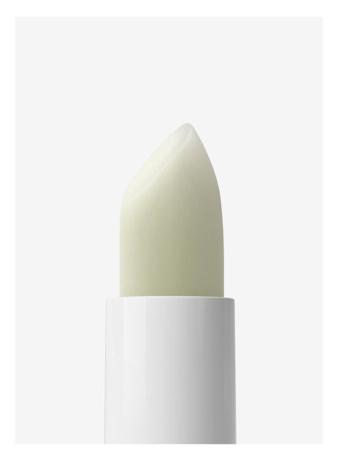 Babe Laboratorios Babé Lipstick SPF20 Dry Skin 4g - Image 2