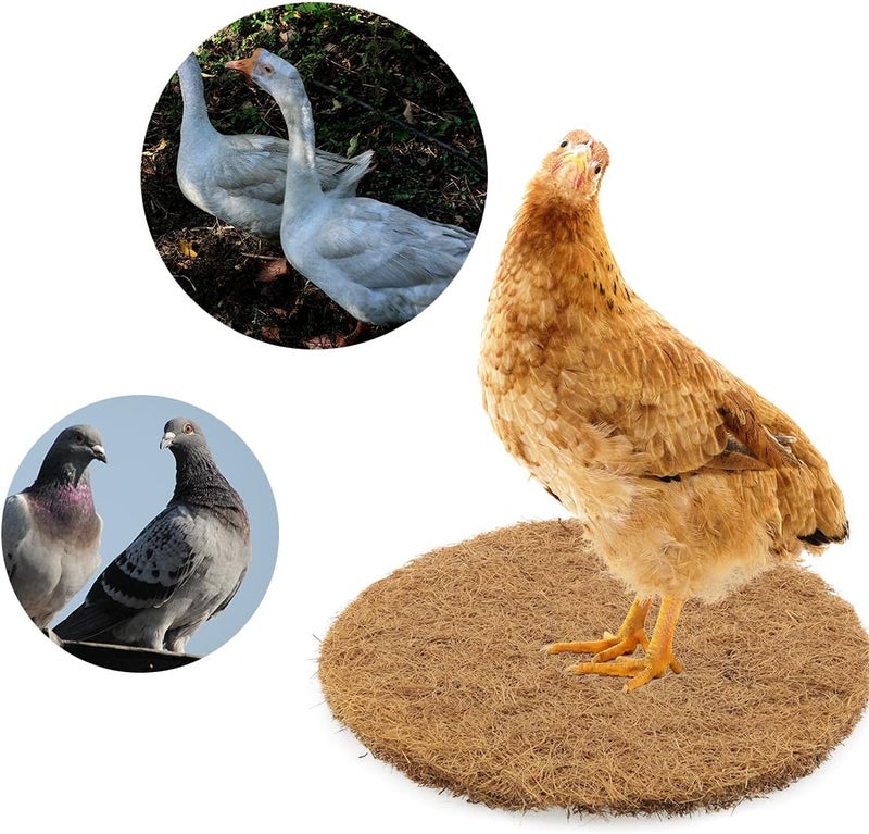 DGHAOP 4pcs Breathable Dry Grass Mattress 215x10mm Bird Nesting Pads Natural Fiber Parrots Breeding Nests Bird Eggs Mat for Birds - Image 4