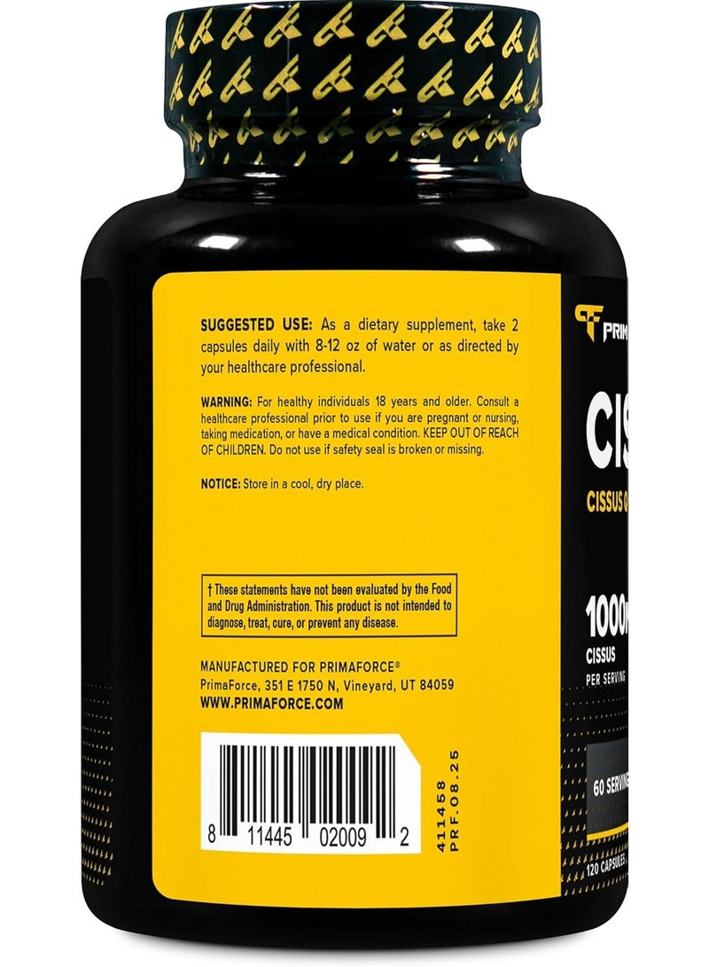 Primaforce Cissus Quadrangularis Extract, 120 Capsules - Image 3