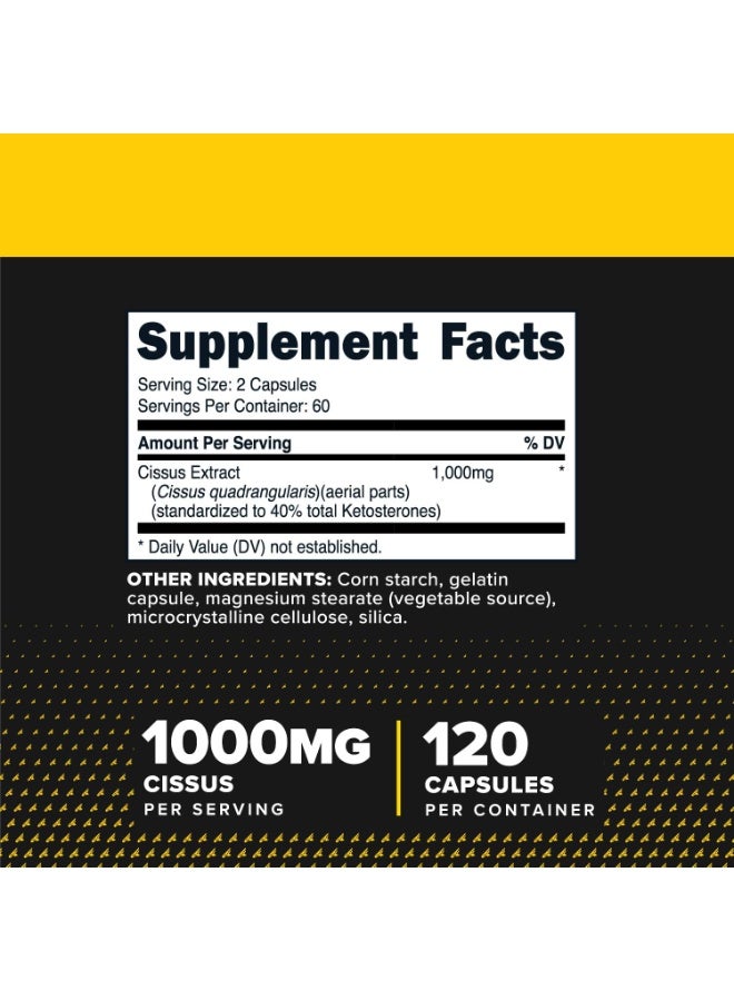 Primaforce Cissus Quadrangularis Extract, 120 Capsules - Image 4