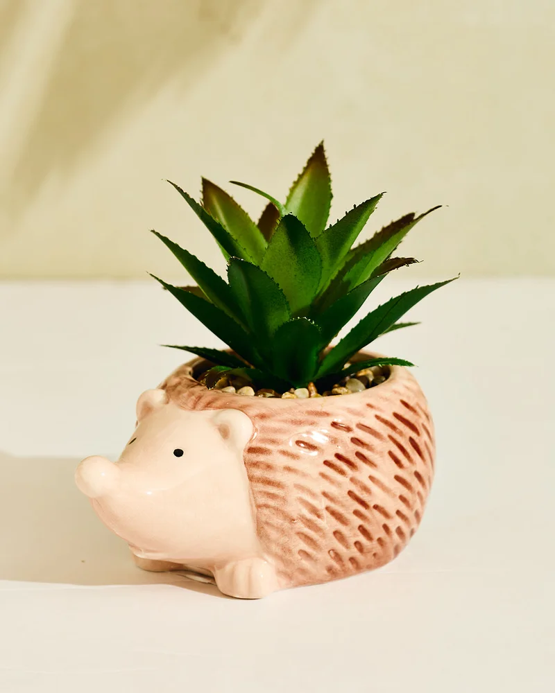 ردتاغ نبتة عصارية صناعية بملمس بارز في أصيص على شكل قنفذ باللون البني