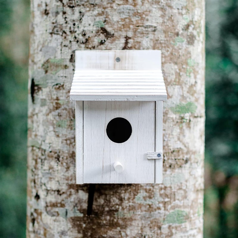 NATUREYLWL بيت طيور خشبي خارجي مع عارضة - بيت طيور معلق مقاوم للعوامل الجوية للكناري، الطيور الزرقاء، الكاردينال - بيت طيور حديقة خارجي بتصميم سهل التنظيف - Image 5