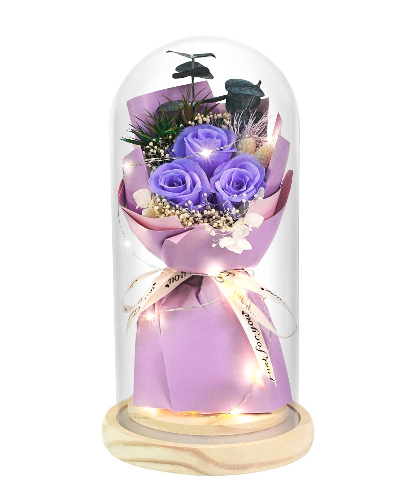 HVY Preserved Flower Bouquet Gift for Her,Forever Fresh Flowers for Delivery Prime Preserved Roses in Glass with LED Light Mothers Day Birthday Gifts for Mom,Wife,Grandma, Purple Rose - Image 1