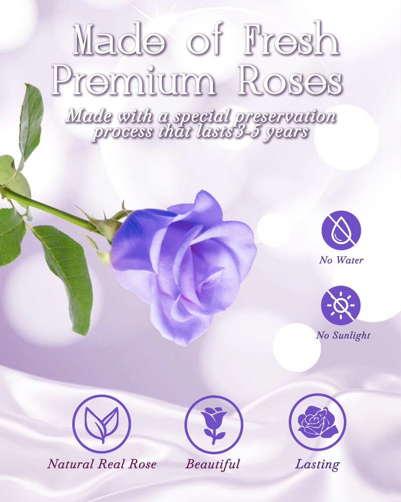 HVY Preserved Flower Bouquet Gift for Her,Forever Fresh Flowers for Delivery Prime Preserved Roses in Glass with LED Light Mothers Day Birthday Gifts for Mom,Wife,Grandma, Purple Rose - Image 4
