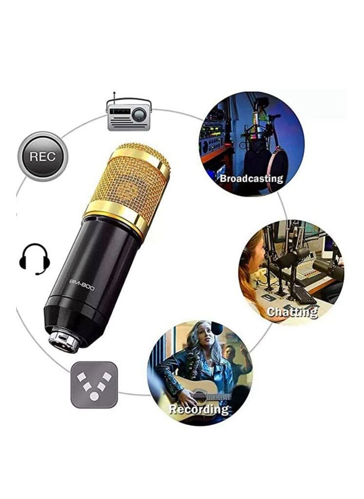 V8 Sound Card With Bm-800 Condenser Microphone Mic Kit with Live Sound Card, Adjustable Mic Suspension Scissor Arm, Metal Shock Mount and Double-Layer