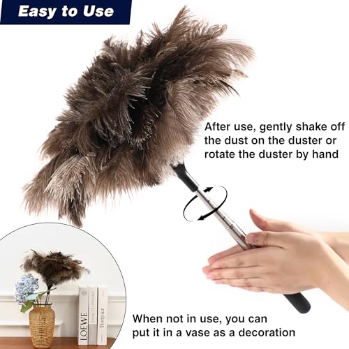 Soarer Extendable Ostrich Feather Duster - 40 inches Fluffy Long Handle Reusable Feather Duster for Cleaning Ceiling Fan,Pendant lamp, High Ceiling, Blinds, Furniture - Image 5