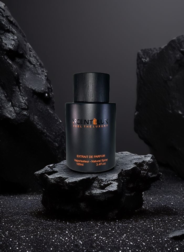 SCENTÈLUX PERFUMES SCENTELUX Feel the Luxury Extrait de Parfum – Unisex Luxury Fragrance, 100ml – Long-Lasting, Sophisticated Scent - Image 4