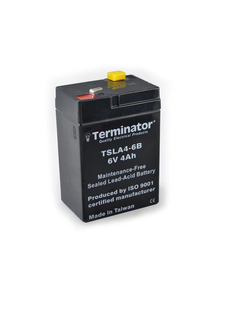 Terminator Terminator SLA Battery 6V-4Ah TSLA 4-6B  - Image 3