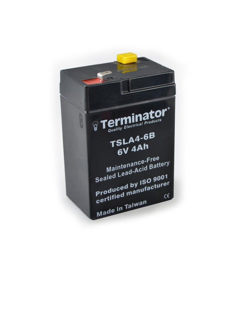 Terminator Terminator SLA Battery 6V-4Ah TSLA 4-6B  - Image 1