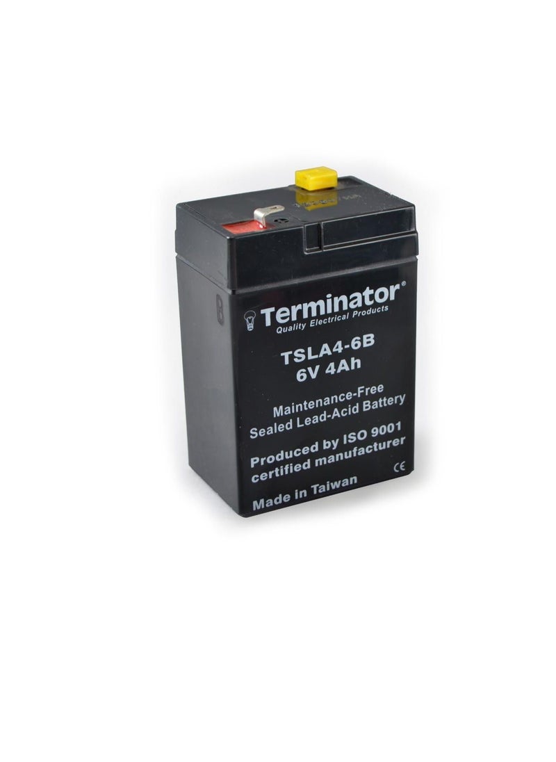 Terminator Terminator SLA Battery 6V-4Ah TSLA 4-6B  - Image 2