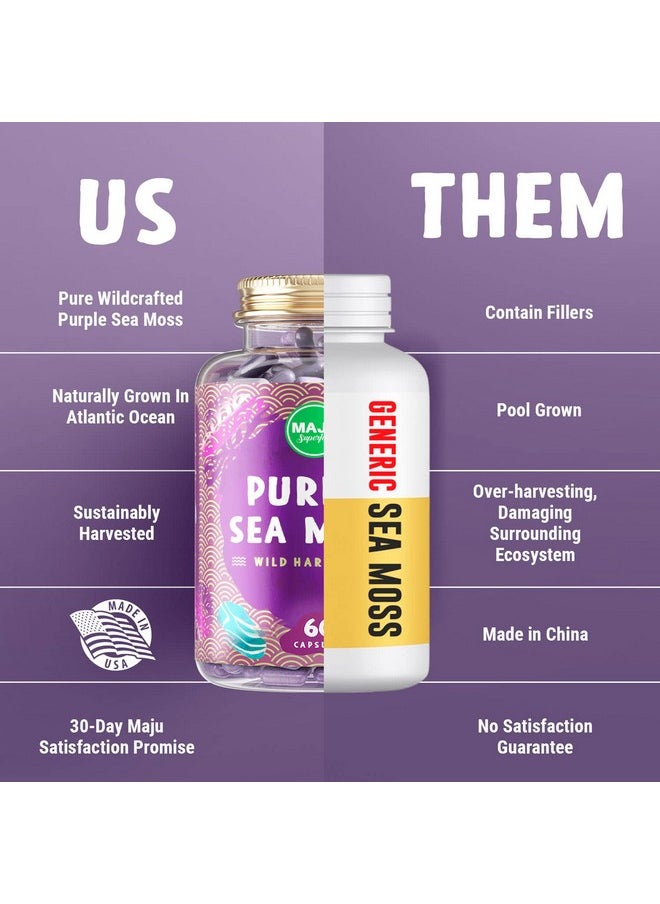 Maju Superfoods - Maju Powerful Purple Sea Moss Capsules (60 Ct) Extrastrength Purple Minerals Chondrus Crispus Stronger Than Gel Compare To Organic Irish Seamoss Capsule Wild Harvested Powder Pills - Image 1