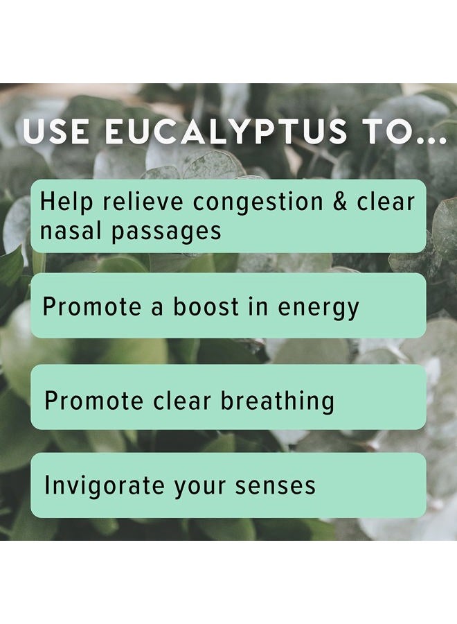 MOXE MOXĒ Eucalyptus Essential Oil Nasal Inhaler, Sinus & Congestion Relief, Daily Relaxation, Stress Relief, Therapeutic No-Mess Aromatherapy, Pure and Natural, Made in USA (3 Pack) - Image 5