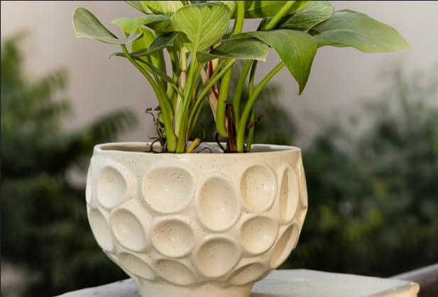 Niyara Flower Style Designer Print Ceramic planters pots for Indoor Outdoor Home, Garden Office Decor Balcony Planters Gamla Flower Size- Large (White) - Image 1