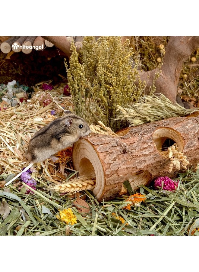 Niteangel Niteangel Natural Wooden Hamster Mouse Tunnel Tube Toy Forest Hollow Tree Trunk - Image 4