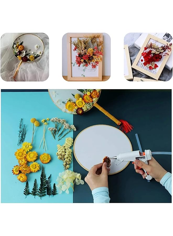 erorex Real Dried Flower Dry Plants For Aromatherapy Candle Necklace Jewelry Making Craft Diy Accessories Natural Dried Flowers Mixed Home Decoration Filling Materials Random 1 Box  - Image 3