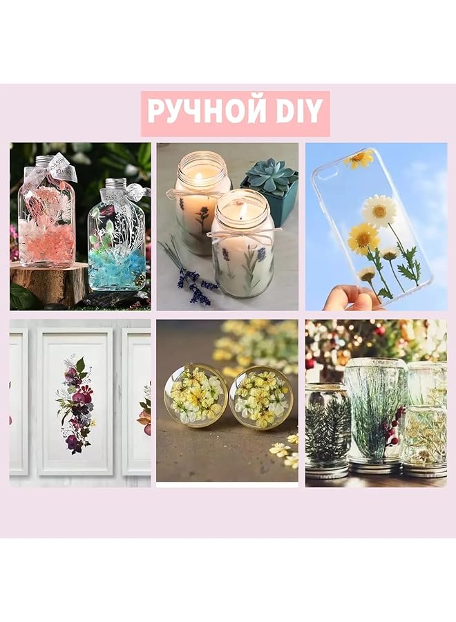 erorex Real Dried Flower Dry Plants For Aromatherapy Candle Necklace Jewelry Making Craft Diy Accessories Natural Dried Flowers Mixed Home Decoration Filling Materials Random 1 Box  - Image 2