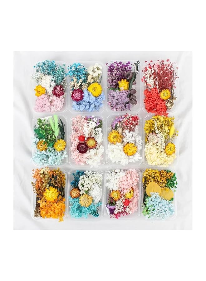 erorex Real Dried Flower Dry Plants For Aromatherapy Candle Necklace Jewelry Making Craft Diy Accessories Natural Dried Flowers Mixed Home Decoration Filling Materials Random 1 Box  - Image 1