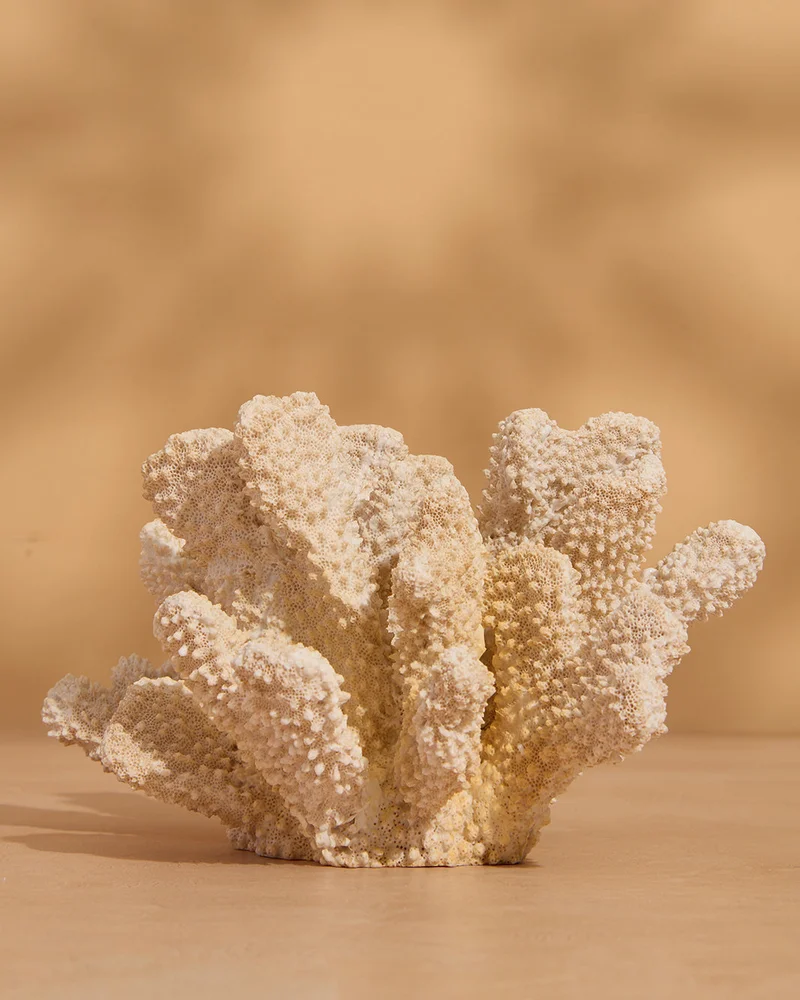REDTAG Cream Faux
