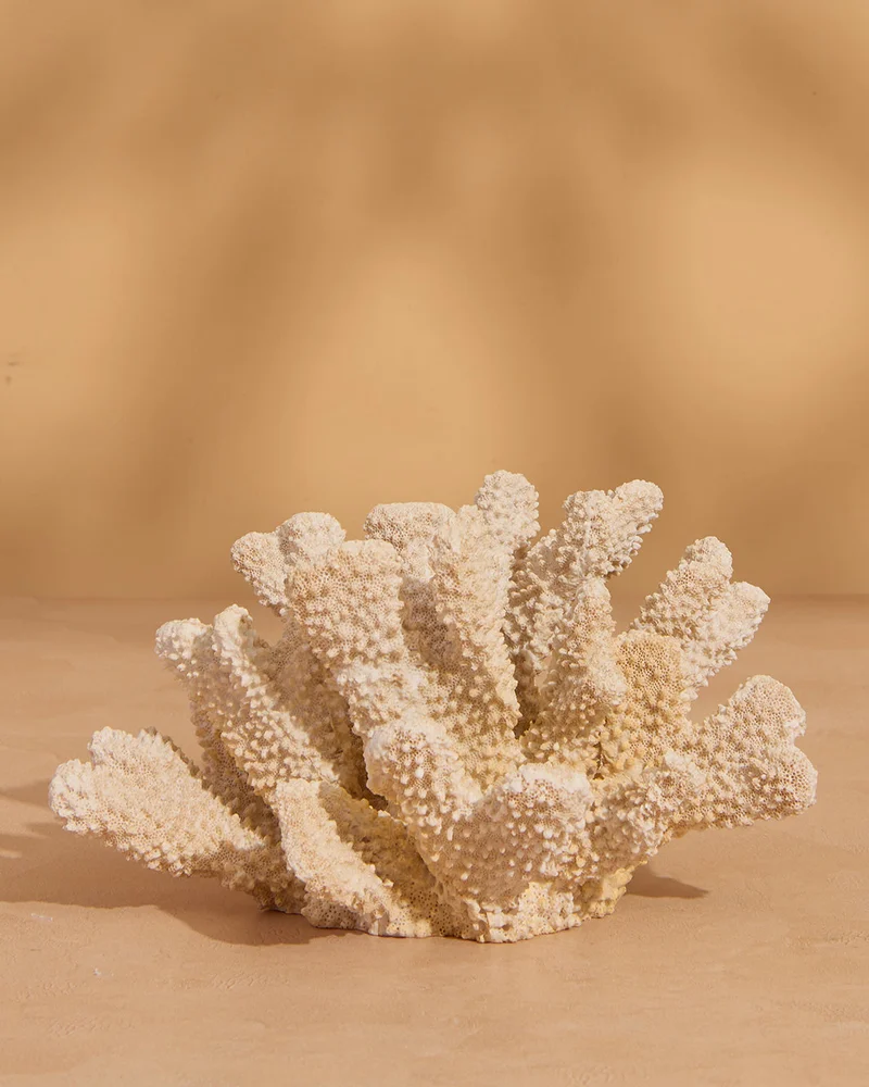 REDTAG Cream Faux