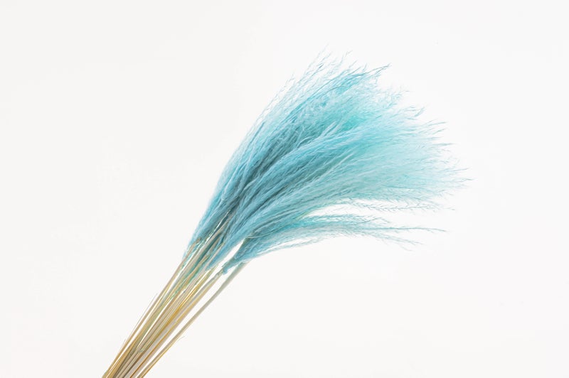 Bluejw Classical Boho Small Pampas Grass Decor - Dried Fluffy Pampas for Table Vase Arrangements, Indoor Home & Festival Gifts - Image 4