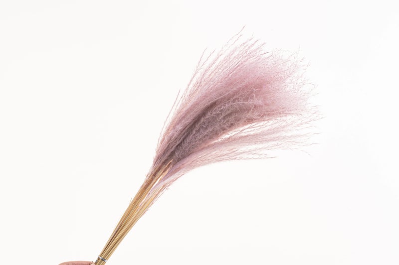 Bluejw Classical Boho Small Pampas Grass Decor - Dried Fluffy Pampas for Table Vase Arrangements, Indoor Home & Festival Gifts - Image 3