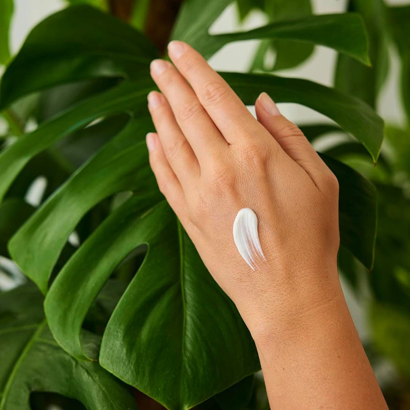 Weleda Sea Buckthorn Hand Cream, 1.7 Fluid Ounce - Image 2