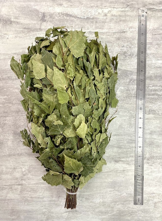 ECOVENIK Season 2023 - Natural Branches Dry for a Sauna Accessories for Banya 100% Handmade (Made in Europe) - Image 4