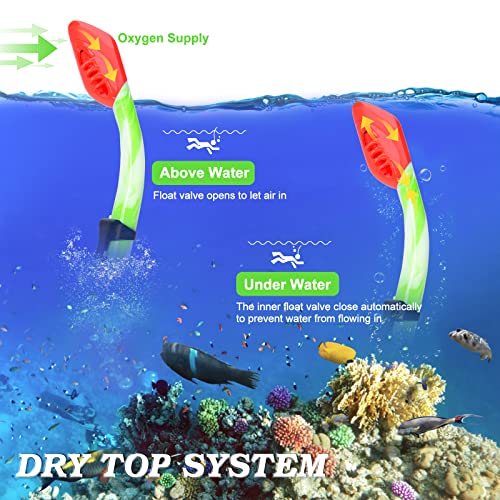 ACQCES Kids Snorkel Set Dry Top Snorkeling Gear for Kids Youth Boys Girls Junior Age 5-15,Tempered Glass Swimming Diving Mask and Snorkel Set 180 Degree Panoramic View (Green) - Image 5