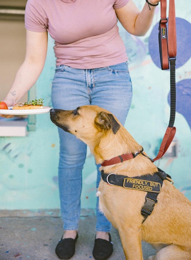 OllyDog طوق OllyDog Flagstaff، طوق جرو ناعم قابل للتعديل مع مشبك سريع الفتح، طوق مثالي للكلاب للاستخدام اليومي والمغامرات (صغير، بنقشة خشب الطين) - Image 5