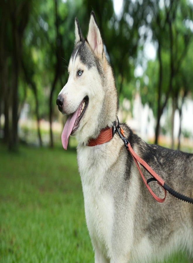 OllyDog طوق OllyDog Flagstaff، طوق جرو ناعم قابل للتعديل مع مشبك سريع الفتح، طوق مثالي للكلاب للاستخدام اليومي والمغامرات (صغير، بنقشة خشب الطين) - Image 2