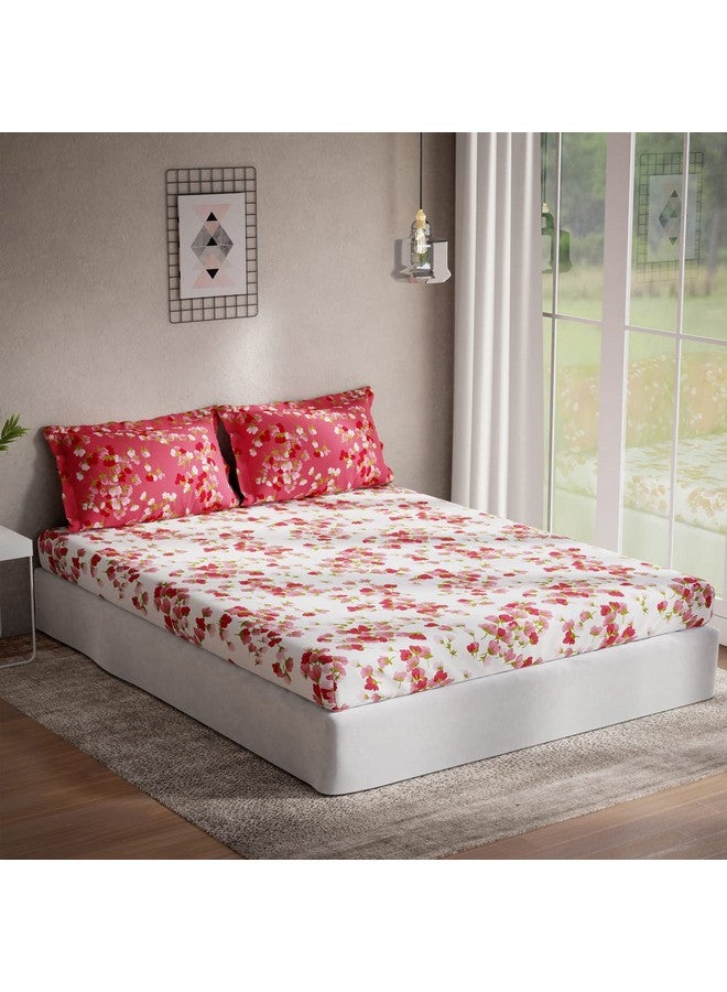 DDECOR Live beautiful DDECOR - Radium 100% Cotton Double Bedsheet with 2 Pillow Covers, Red  - Image 1