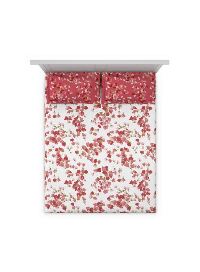 DDECOR Live beautiful DDECOR - Radium 100% Cotton Double Bedsheet with 2 Pillow Covers, Red  - Image 3