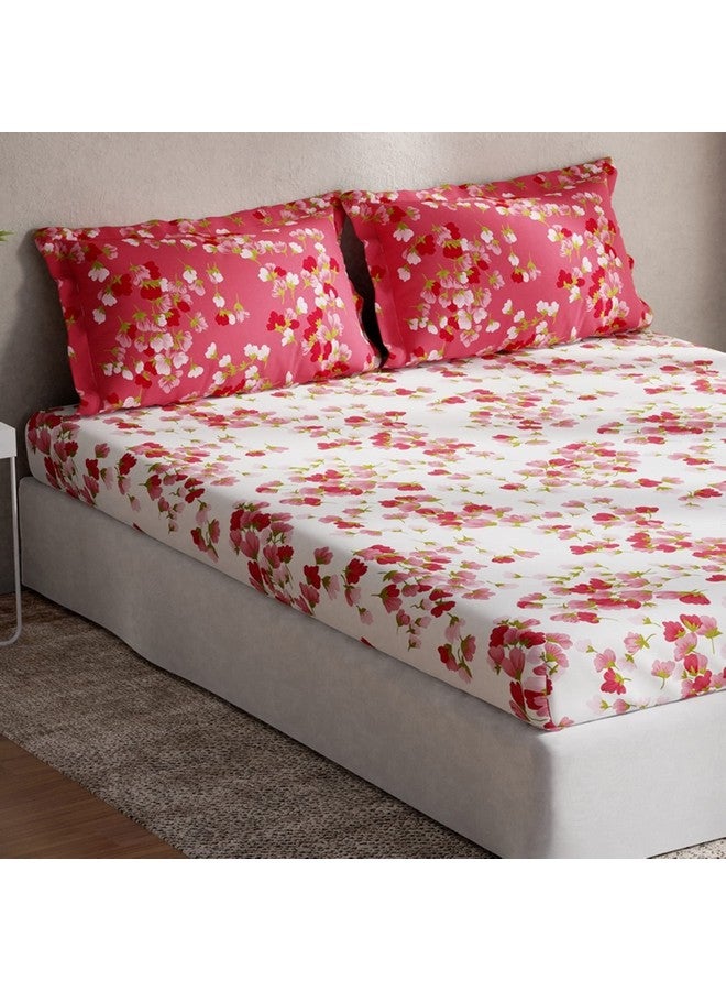 DDECOR Live beautiful DDECOR - Radium 100% Cotton Double Bedsheet with 2 Pillow Covers, Red  - Image 2