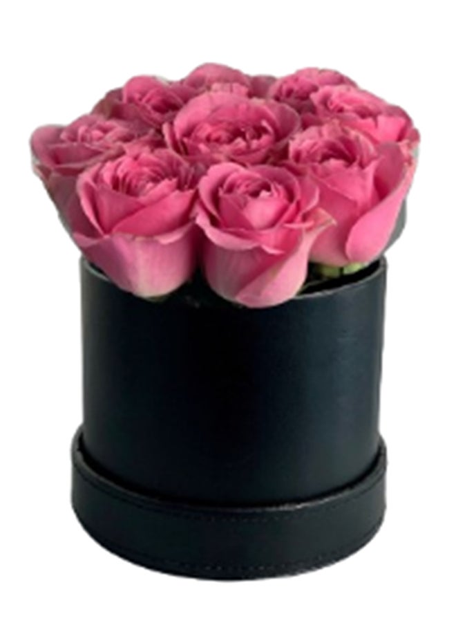 wardi Pink Roses In Leather Box 