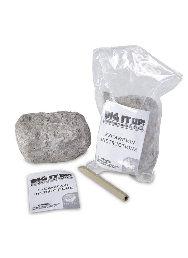 Mindware - Dig It Up! Fossils & Minerals - Image 1