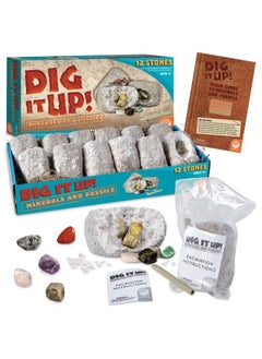 Mindware Dig It Up! Fossils & Minerals  - Image 2