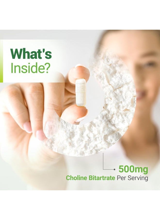Nested Naturals - Choline Bitartrate 500mg - High Potency Choline Supplements - Supports Cognitive Performance & Liver Function - 100% Vegan & Non-GMO Choline - 90 Vegan Capsules - Image 1