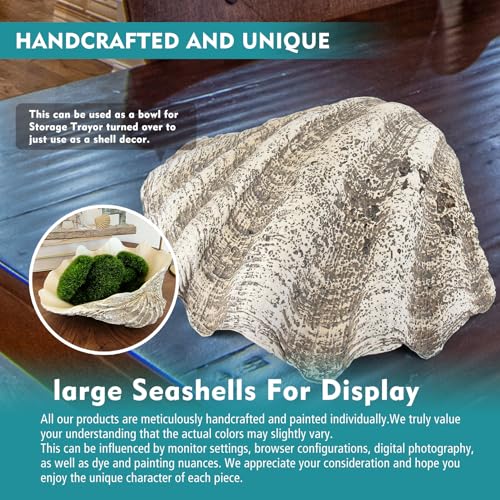Accessoryway Large Mud Gray Clam Shells Decorative Bowl,Weathered style ClamShell Bowl Beach Decorations for Home Coastal Beach Decor Decoration Storage Bowls & Home Office Nautical Themed Party Decor -10.2"-1PC - Image 3
