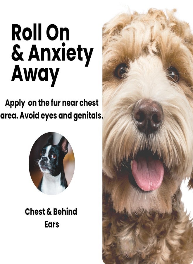 Greenatva Hushie by Greenatva - Dog Anxiety Relief Oil Roll On, Blend of Lavender, Frankincense, Chamomile Essential Oils | Dog Separation Anxiety & Stress Support, 10ml Bottle, Lasts Upto 60 Applications - Image 3