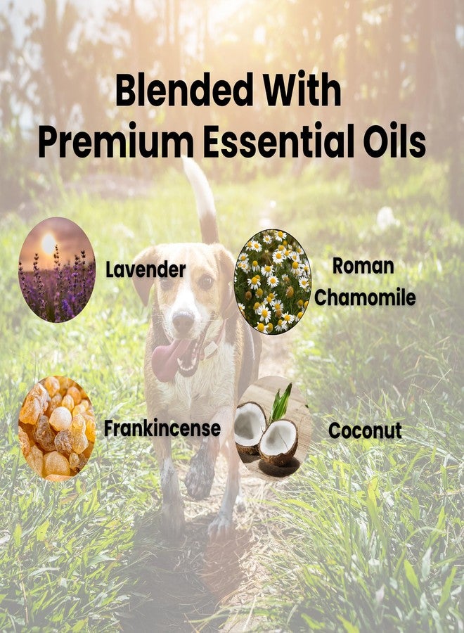 Greenatva Hushie by Greenatva - Dog Anxiety Relief Oil Roll On, Blend of Lavender, Frankincense, Chamomile Essential Oils | Dog Separation Anxiety & Stress Support, 10ml Bottle, Lasts Upto 60 Applications - Image 5