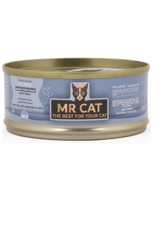 MR CAT Cat Adult And Kitten Wet Food Ocean Fish with Whitebait in Jelly Flavor Pack Of 6  - Image 2