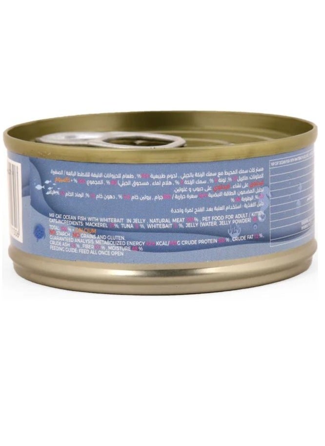 MR CAT Cat Adult And Kitten Wet Food Ocean Fish with Whitebait in Jelly Flavor Pack Of 6  - Image 3